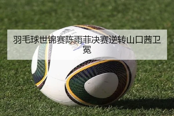 羽毛球世锦赛陈雨菲决赛逆转山口茜卫冕